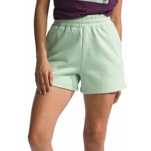 The North Face Women’s Evolution Short Misty Sage Small